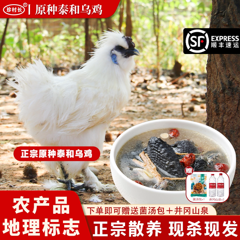 珍村长【泰和武山】原种泰和乌鸡