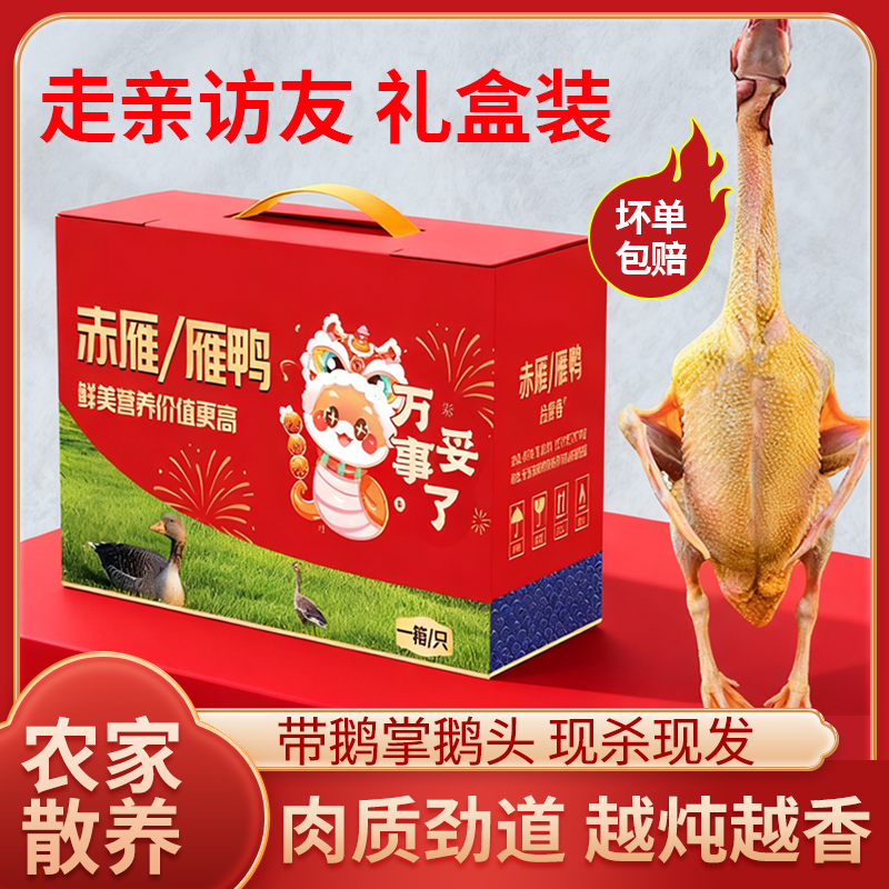 【整只大雁鹅】新鲜现杀大雁非大鹅整只大鹅鹅肉农家散养散养正宗