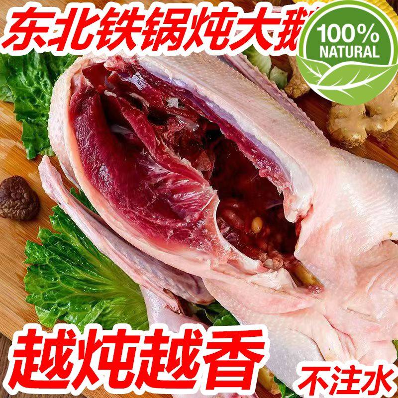 10斤大雁鹅新鲜大雁鹅散养老鹅鹅肉整只鹅雁鹅非东北鹅超大笨雁鹅