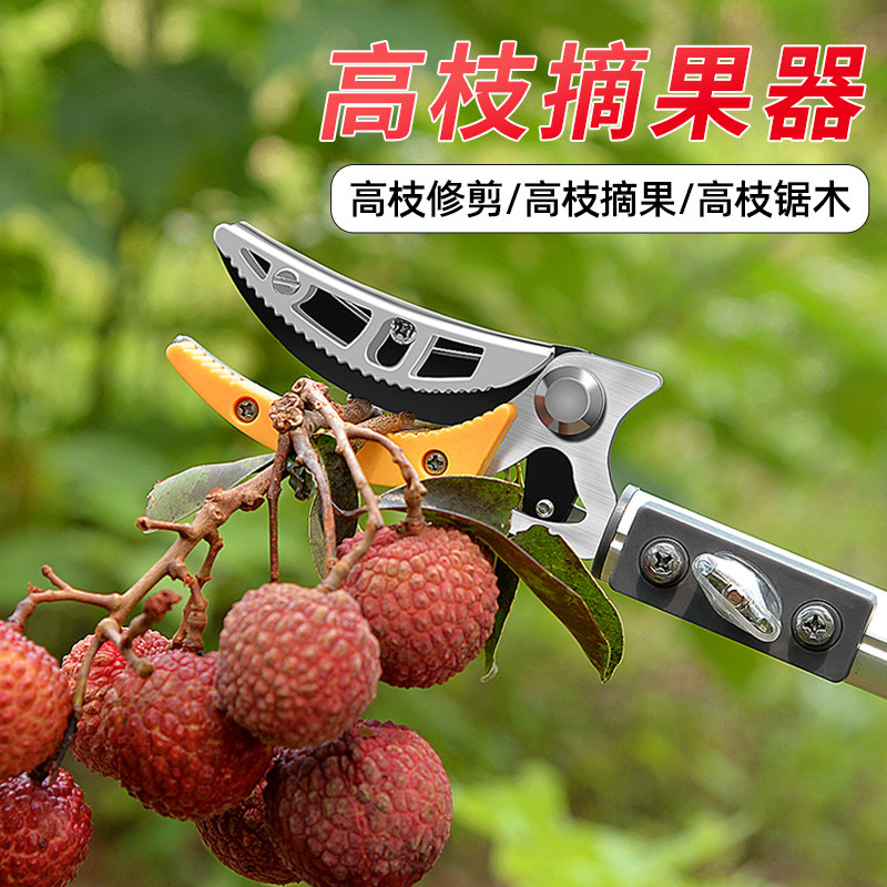 摘果神器修枝剪伸缩高空摘水果剪刀加长采摘器荔枝枇杷芒果高枝剪