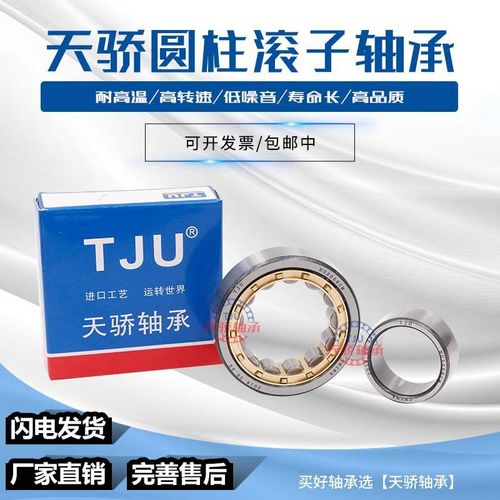 圆柱滚子轴承NJ/NU/N/NUP304 305 306 307 308 309 310 311EM