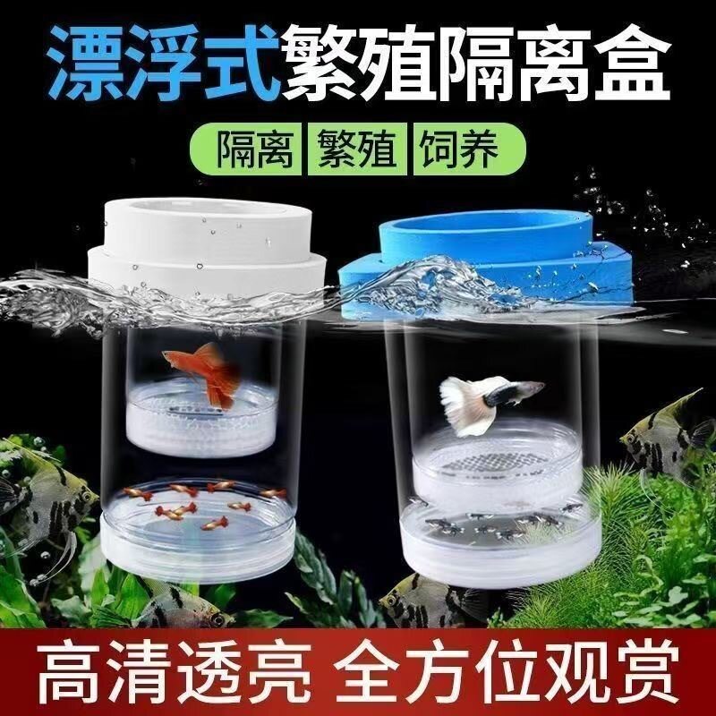 孔雀鱼繁殖隔离盒产卵桶母鱼孵化网产房小鱼幼鱼隔离罐