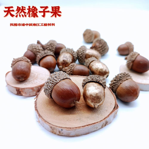 手工diy材料包混装花材天然植物