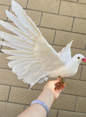 仿真羽毛鸽子和平鸽白鸽摄影道具橱窗婚庆装饰家居园林鸽子模型