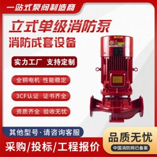 消防泵水泵消火栓泵喷淋泵室内外离心泵消防增压稳压设备认证 立式
