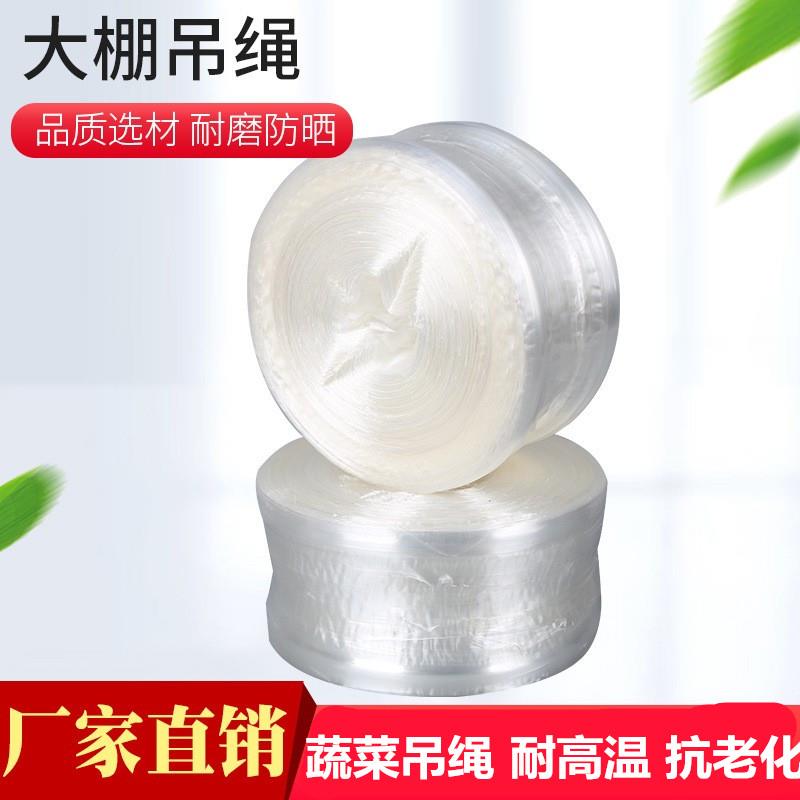 蔬菜吊绳耐高温大棚绳防老化绳网状 平板 吊蔓绳子白色吊秧绳