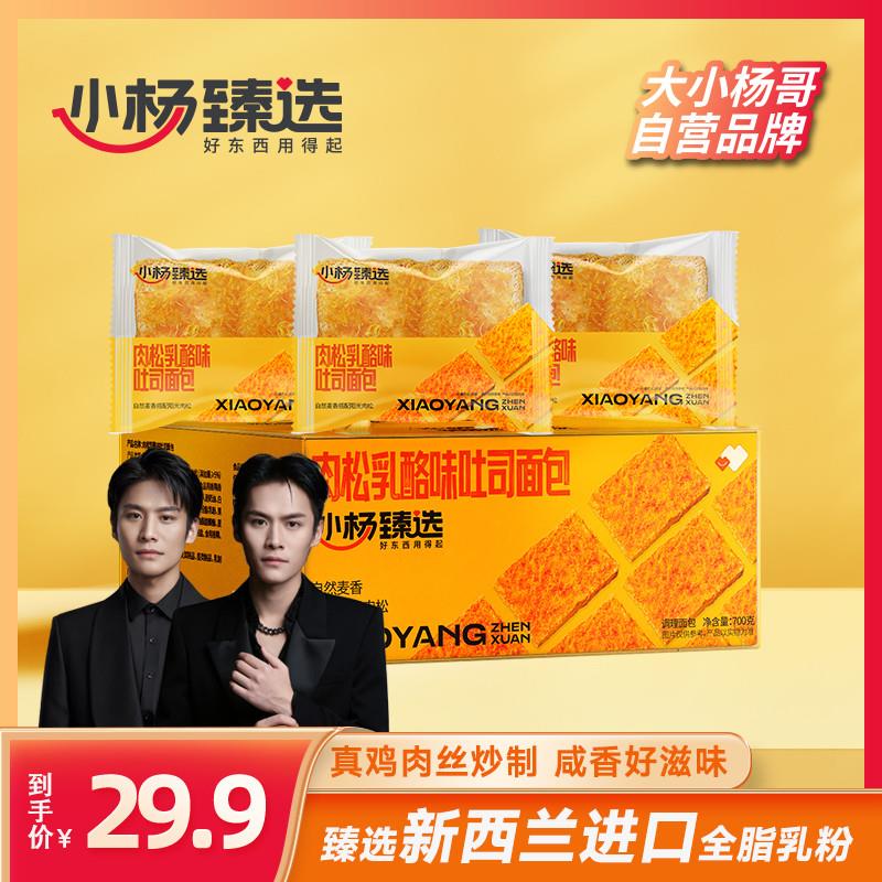 新货小杨臻选肉松乳酪味