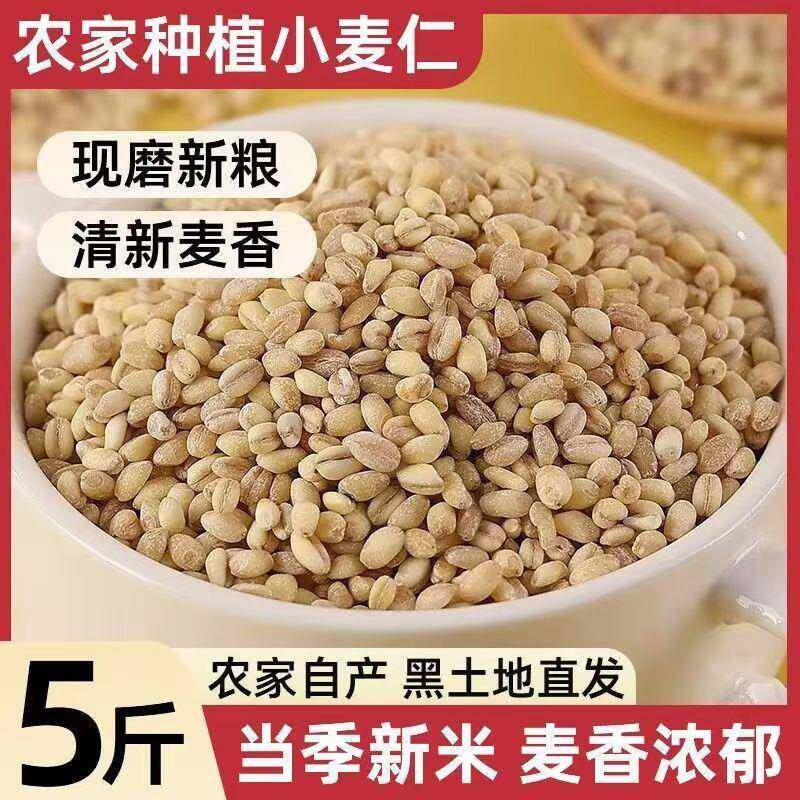 （获嘉彩麦）白糯小麦仁农家新鲜去皮小麦仁杂粮粥饭代餐饱腹杂粮