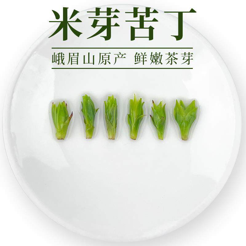 速发青山绿水苦丁茶正品特级小叶米芽苦丁茶官方旗舰店2025年