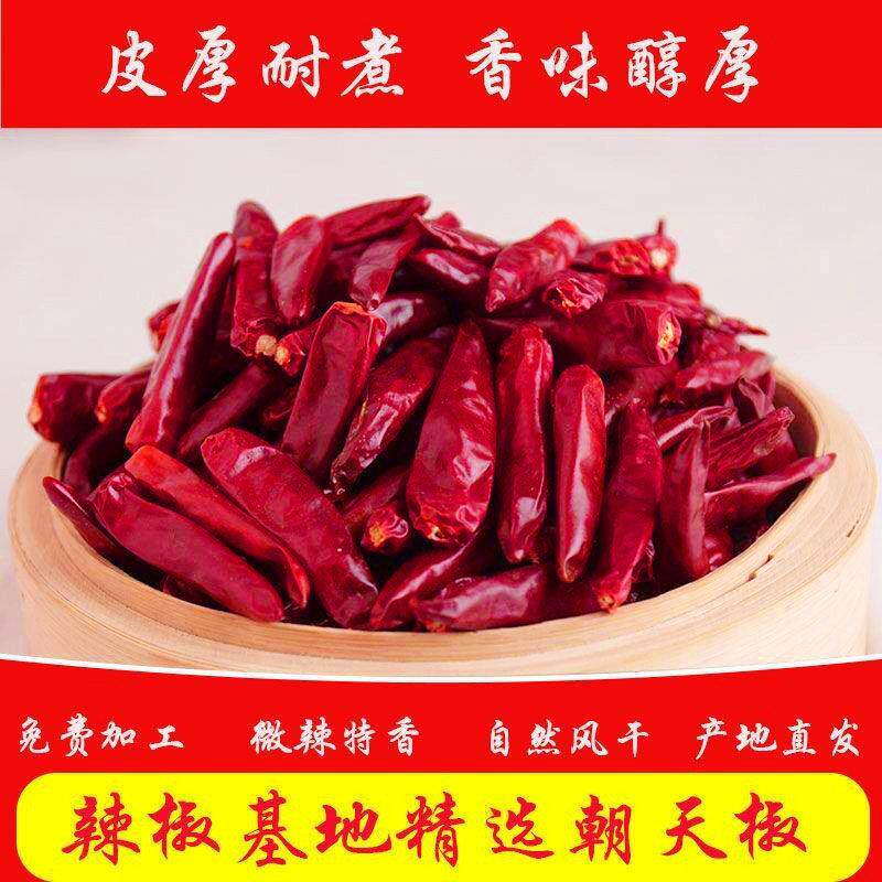 河南辣椒新一代干辣椒微辣特香朝天椒三樱椒天鹰椒可磨粗细粉500g
