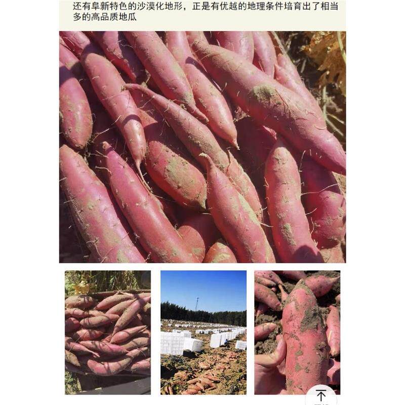 新货农库~自产农家田野沙
