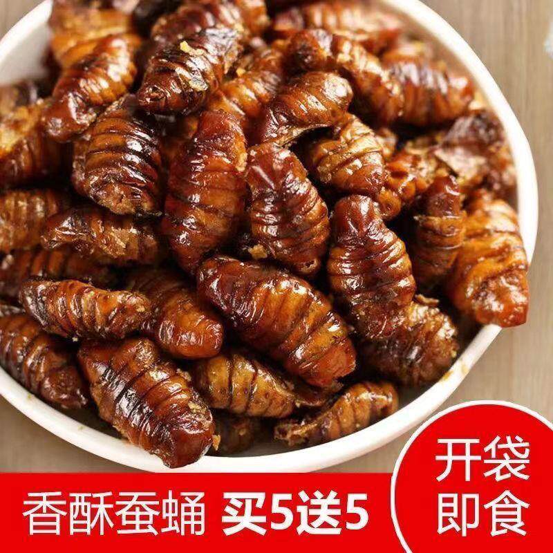 新货蚕蛹农家新鲜干净桑蚕蛹生小蚕蛹茧蛹子山东特产蛹蝉肉类熟食