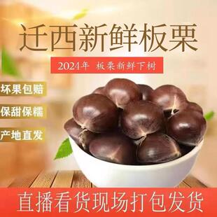 遵化甘栗 新货迁西板栗 鲜栗子 2024年生 河北特产板栗3 板栗