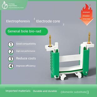 伯乐bio-rad 电极芯 电泳配件耗材 电泳槽电极芯 1658037 1658038