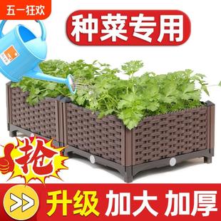 阳台种菜专用箱家用大花盆大号塑料花箱种植盆户外庭院长条菜盆