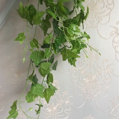 10叉地瓜叶壁挂 仿真藤条装饰花藤花草植物墙挂壁仿真常青藤塑料