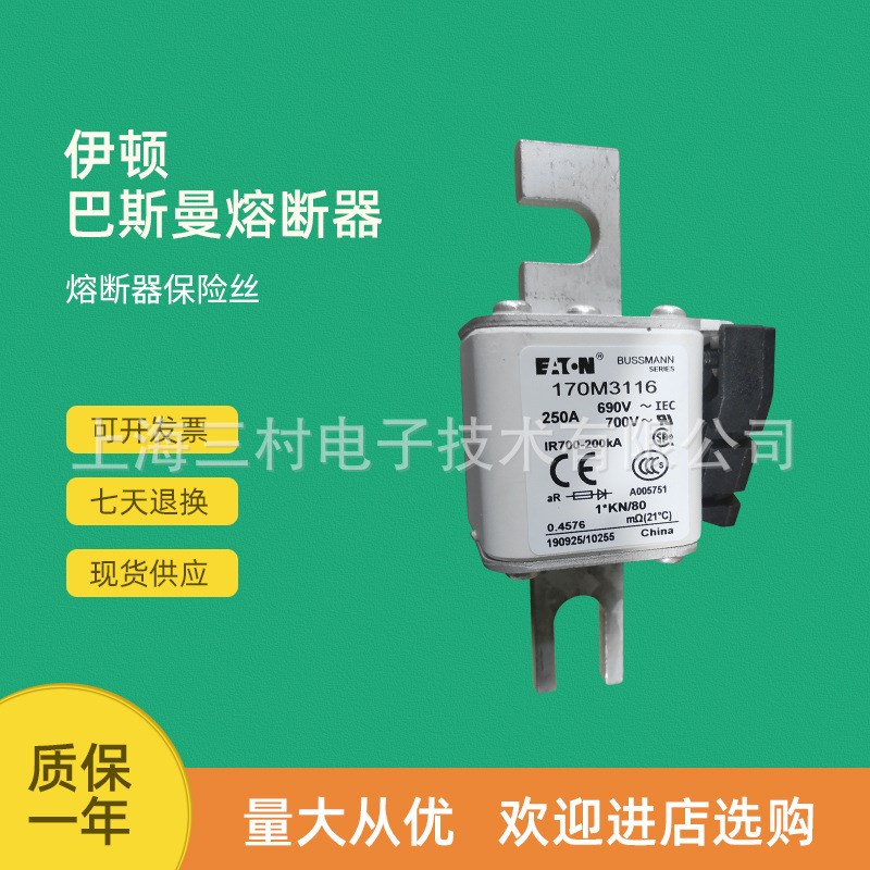 原装快速熔断器保险丝170M3116 170M3117 170M3118 170M3119