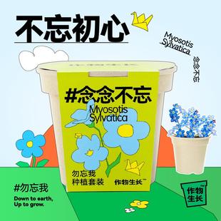 迷你绿植花卉创意礼品懒人植物礼物 作物生长勿忘我盆栽种植套装