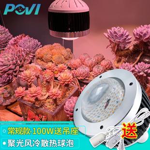 多肉补光灯上色led全光谱仿太阳育苗花卉上色植物生长灯 珀誉球泡