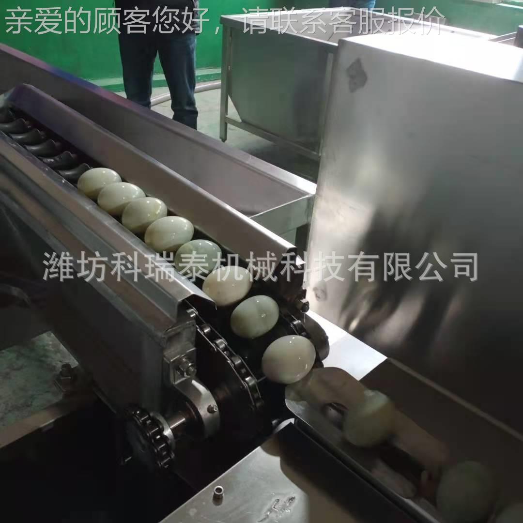 应小型洗DNM蛋清机鸡 泥鸭蛋蛋去泥清洗机 厂家销售鸡供蛋洗线