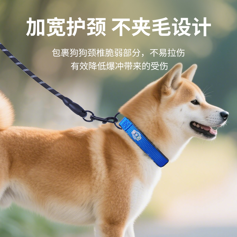 狗狗项圈大中小型犬脖套可调节