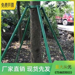 树木支撑固定器钢管树支撑架大树支撑杆树木固定支架园林绿化树撑
