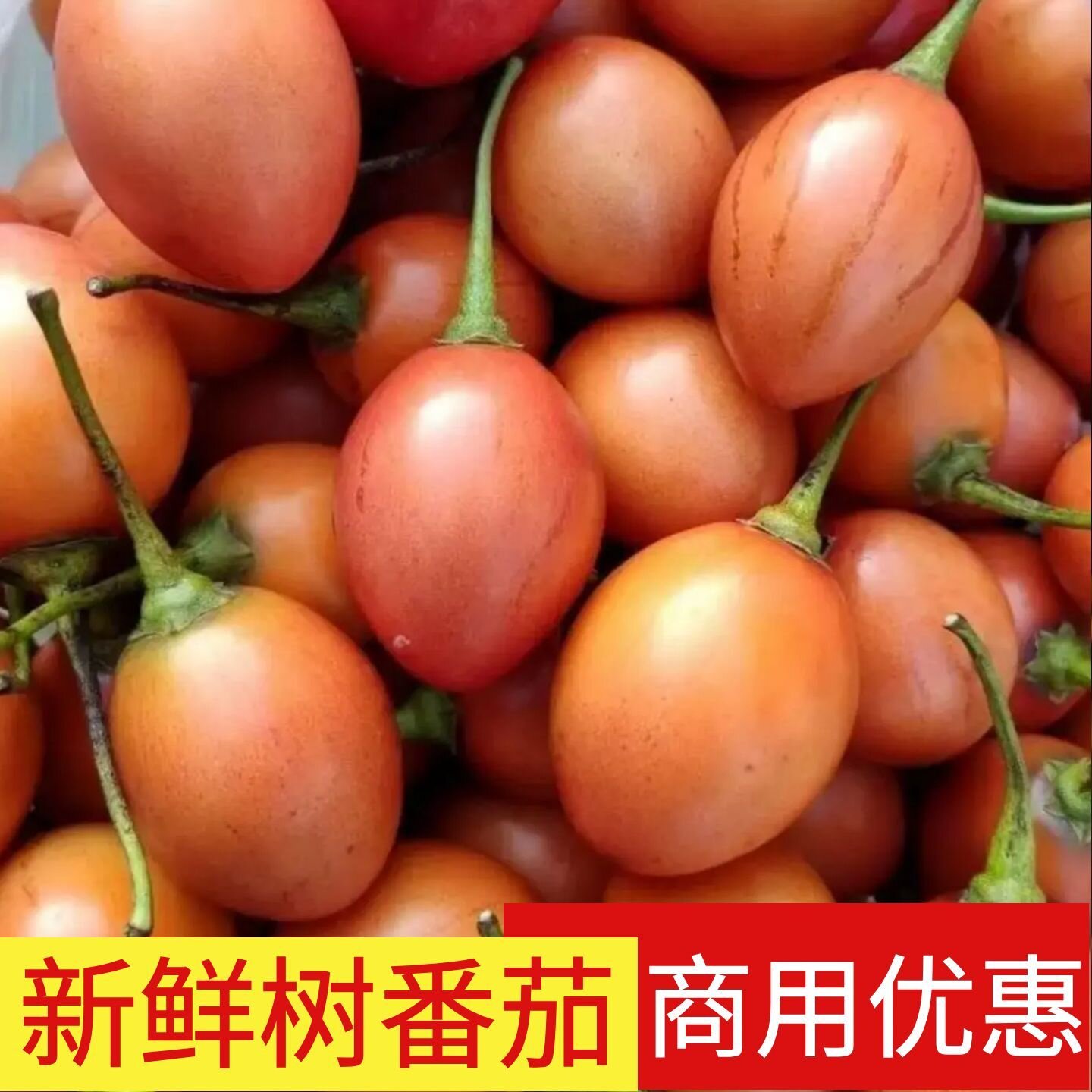 云南新鲜大树番茄傣味酸汤原料