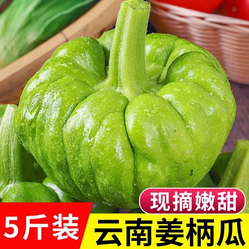 南瓜云南特产姜柄瓜农家自种嫩南瓜新鲜蔬菜现摘农场姜饼瓜小南瓜
