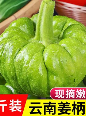 云南特产新鲜姜柄瓜小嫩南瓜