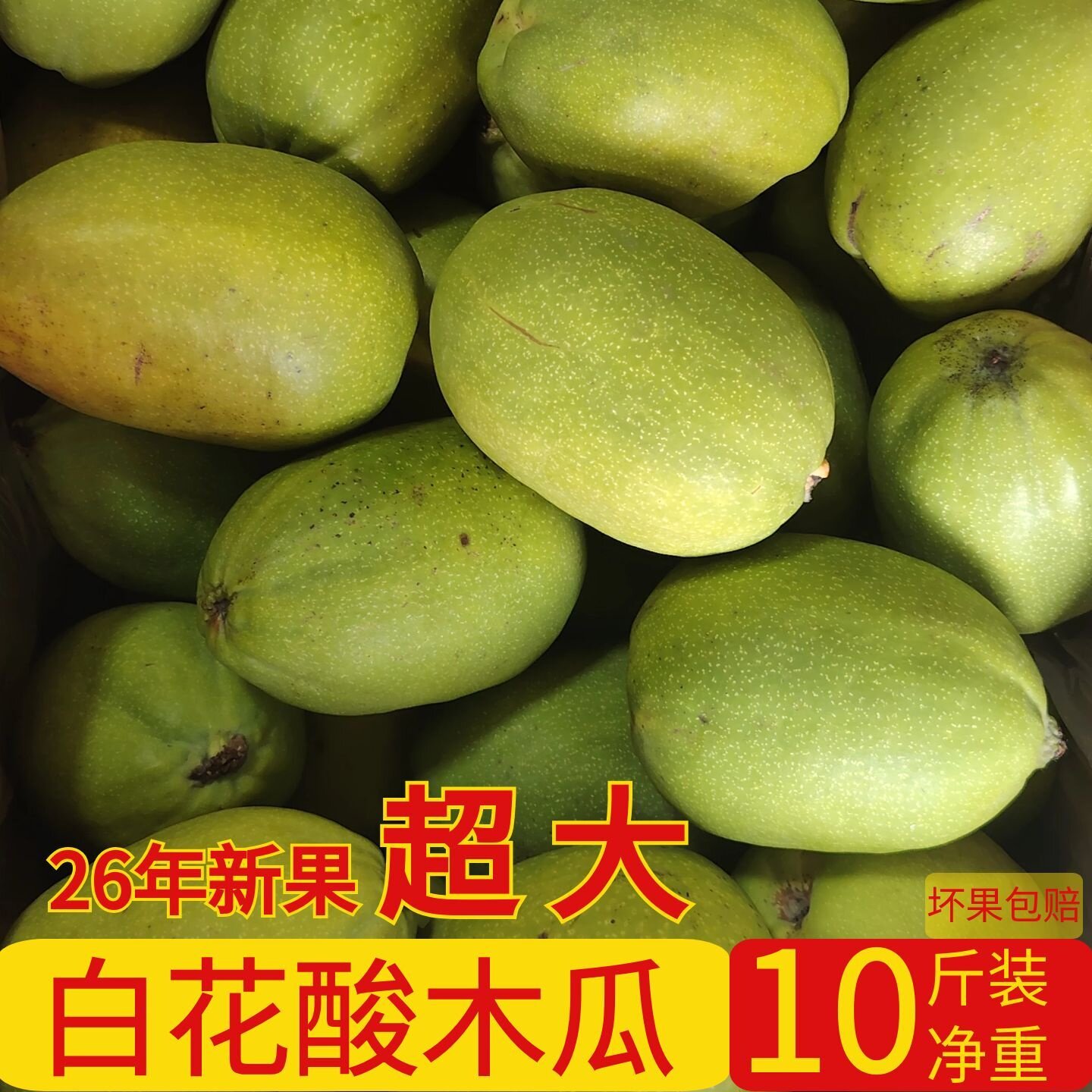 云南特产白花酸木瓜特大果青木瓜