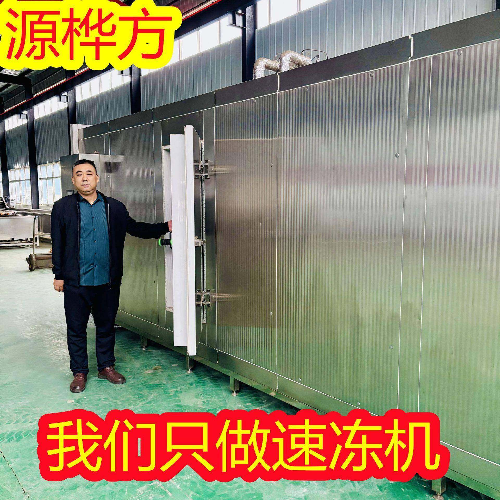 牛筋丸隧道速冻机包心鱼丸冷冻设备墨鱼丸冷冻加工线,厨房电器,其他商用厨电,淘宝优惠券,粉丝福利购,淘宝优惠卷