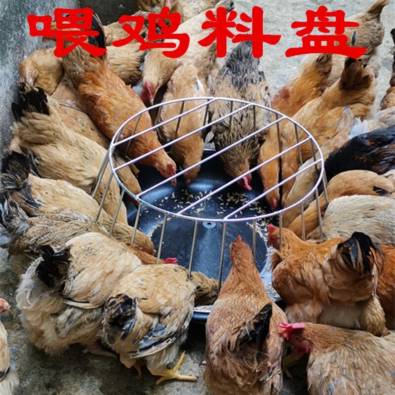 喂鸡料槽鸡鸭鹅采食槽养鸡场专用喂D料器塑料料盘分隔栏喂大鸡食
