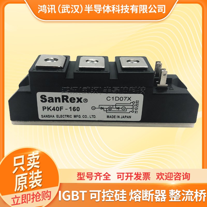 三社可控硅模块PK40F160 PK55FG160 PK110F1M60 PK200HB160晶闸
