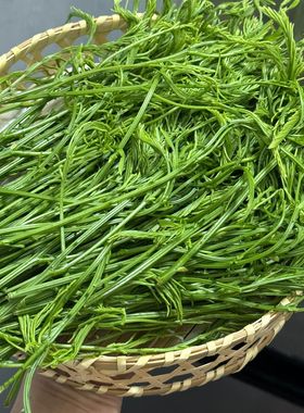 云南德宏新鲜蔬菜臭菜傣族炒鸡蛋重口味泰国吃播网红菜