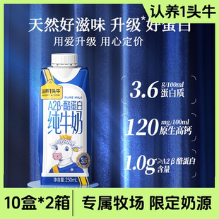 认养一头牛 A2-酪蛋白纯牛奶250ml礼盒2箱装送礼营养早餐奶常温