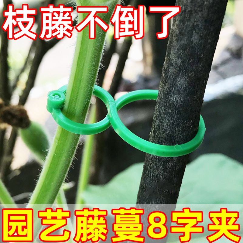 黄瓜西红柿豆角爬藤绑枝8字夹绿植蔬菜捆藤蔓S专用固定夹绑枝机