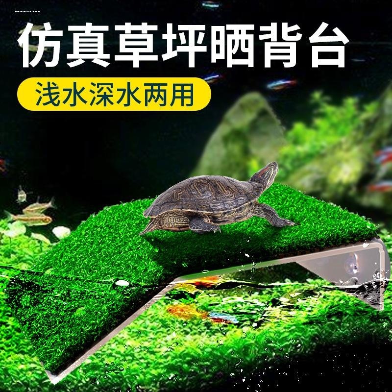 乌龟晒台爬台高水位晒龟台爬坡龟