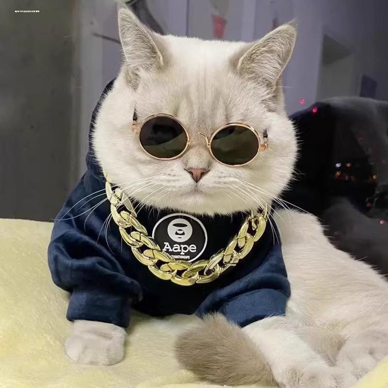 花玩拍照神器宠物墨镜猫咪狗狗宠物墨镜眼镜二次元马赛克头饰翅膀