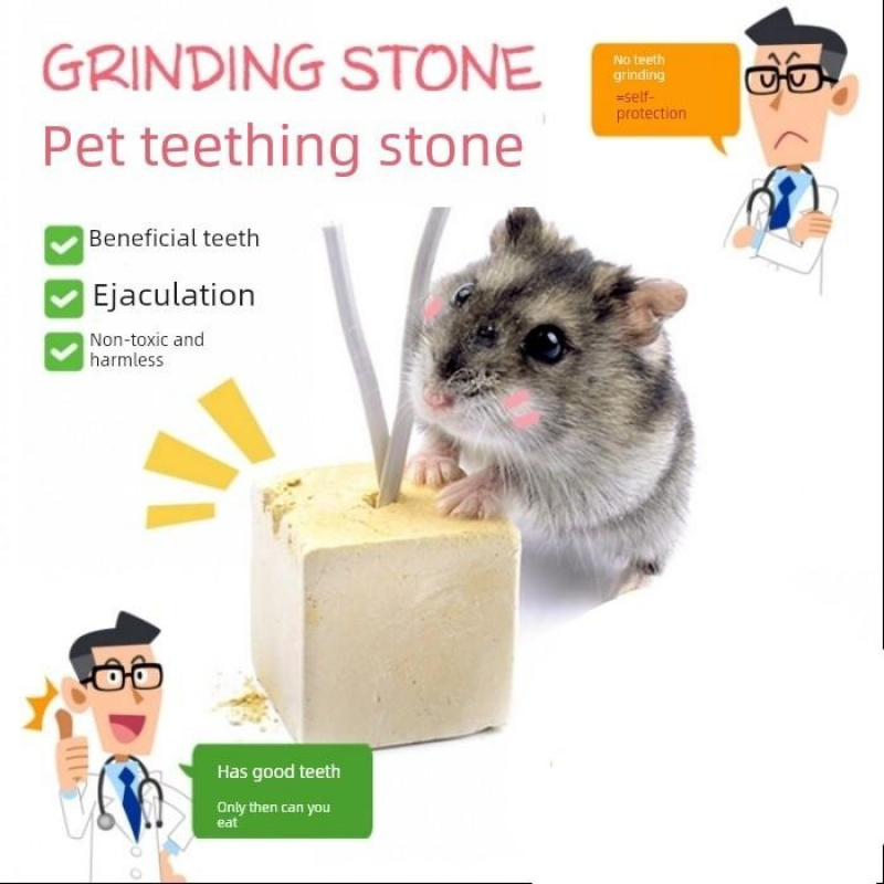 仓鼠石头棒兔子磨牙松鼠栗鼠玩具