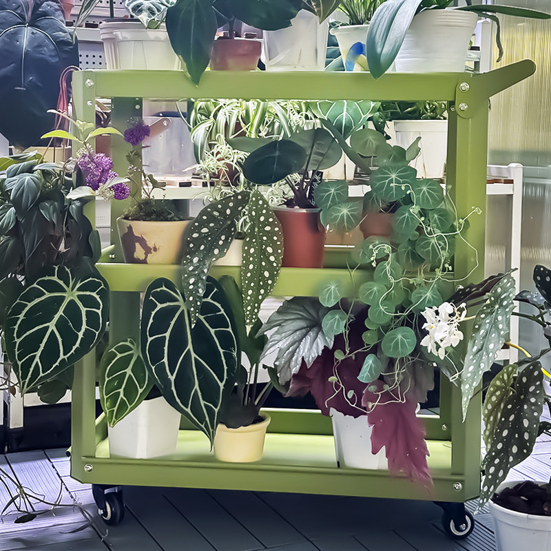 可移动阳台植物花架多功能金属置物架厨房多层收纳架手推车ins风g