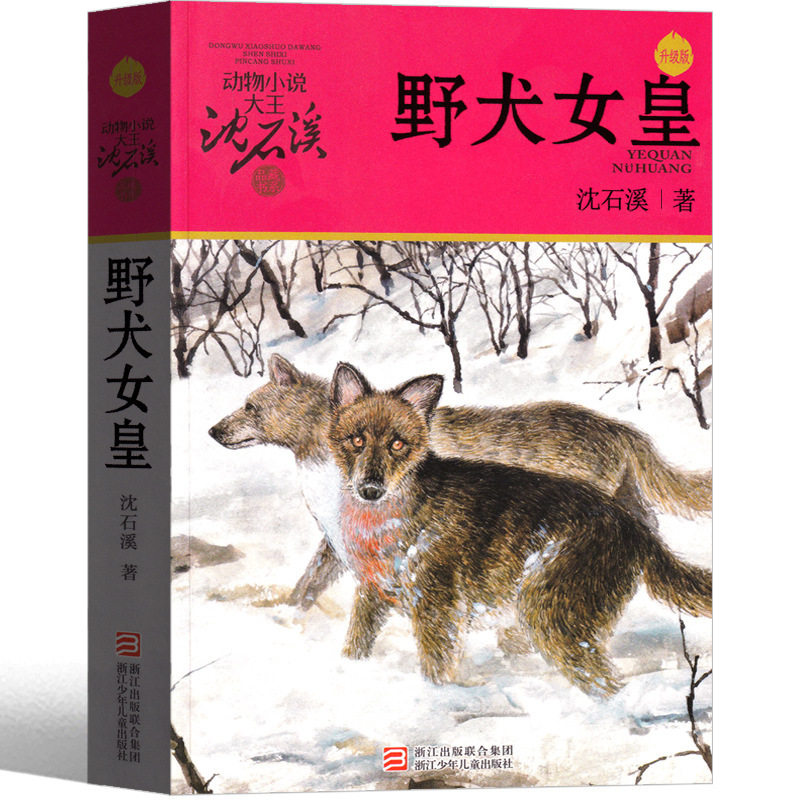 野犬女皇书沈石溪动物小说图片