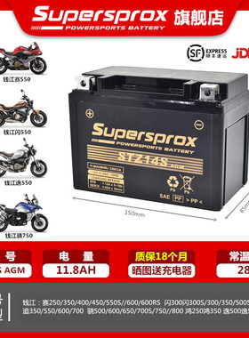 钱江追600/350赛250/350/400/550S/600逸550骁500闪300电瓶电池锂