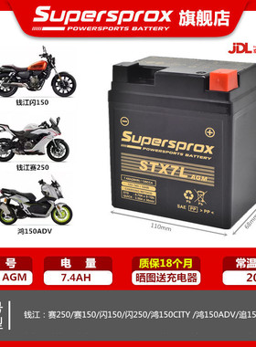 捷克萨斯免维护电瓶适用钱江赛150 250 闪150 250鸿125 150电池BS