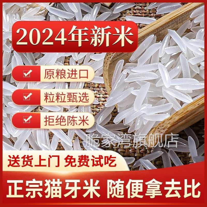 猫牙米2024新米贵州梯田猫牙长粒香米正宗农家不抛光大米10斤装