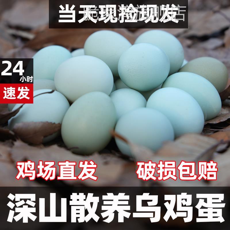 正宗农家土鸡蛋新鲜绿壳乌鸡蛋月子孕妇宝宝深山散养谷物当天现发