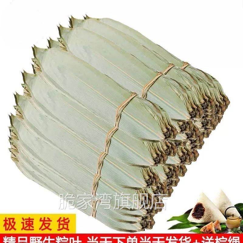 粽叶新鲜大叶广西粽叶干大号送粽绳粽子叶价烘干粽叶60/120张