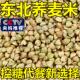 新米纯荞麦米官方旗舰店10斤荞麦米有机煮粥蒸饭荞麦仁饭五谷杂粮