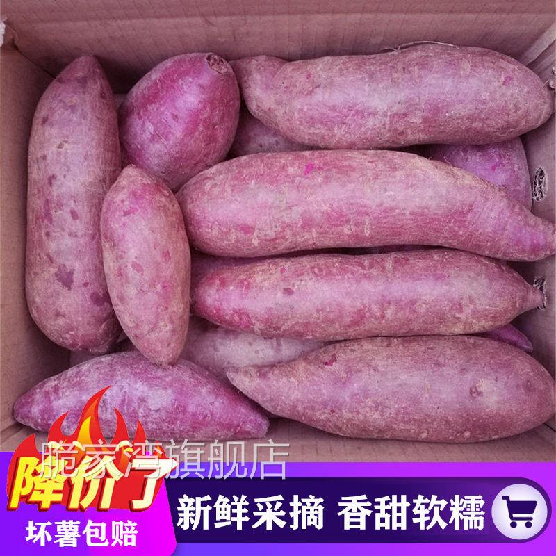 正宗湖北襄阳紫罗兰紫薯新鲜番薯蜜薯板栗红薯沙地地瓜糖心山芋甜