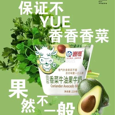 海河香菜牛油果牛奶小红书同款香菜味牛奶樱花白桃风味奶早餐奶