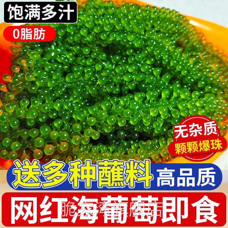 小孩吃儿童海葡萄官方旗舰店绿色鱼子酱即食的新鲜盐渍健康爆珠